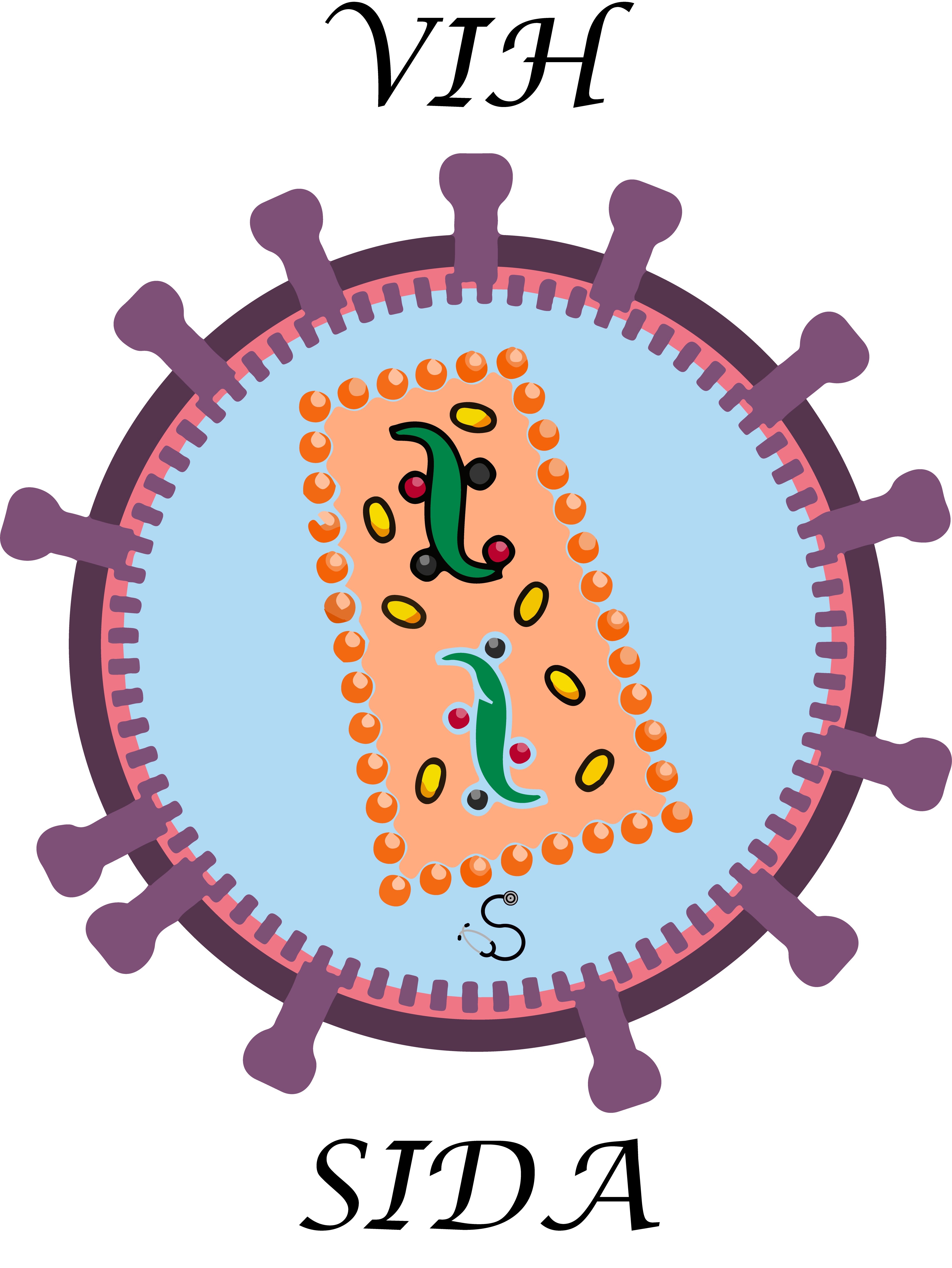 Representación del Virus VIH