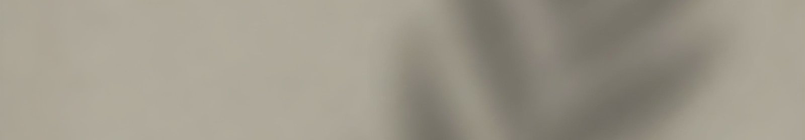 Portada del perfil de Lic. estefania betanzos sanchez